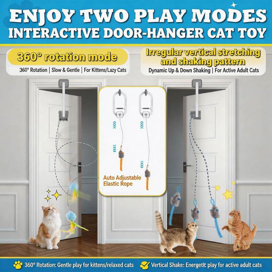 Electric Cat Teaser Toy