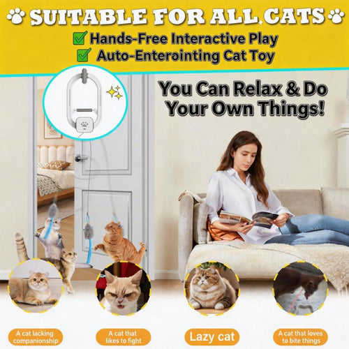 Electric Cat Teaser Toy